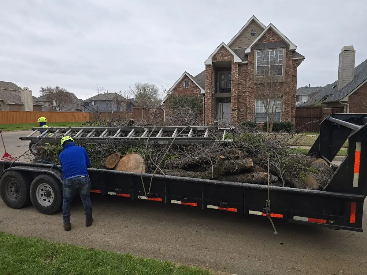 Expert Tree Removal with proper safety equipment in Nashville